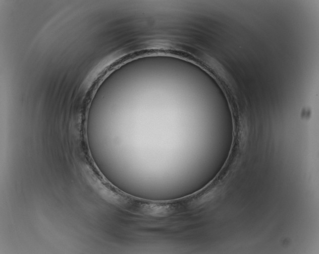 X0000111650831200907171543
