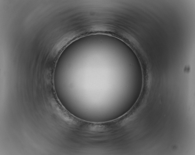 X0000111650833200907171543