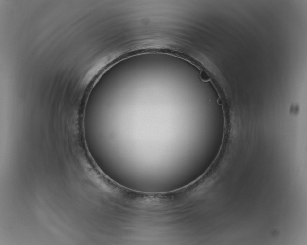 X0000111650834200907171543