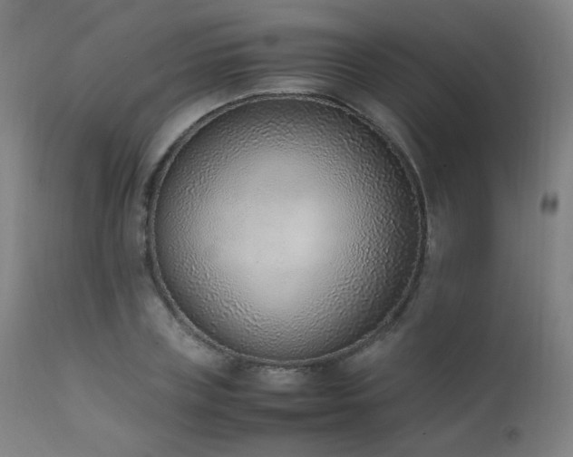 X0000111650835200907171543