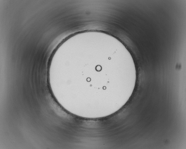 X0000111650836200907171543
