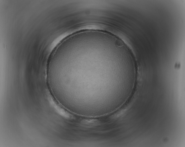 X0000111650837200907171543
