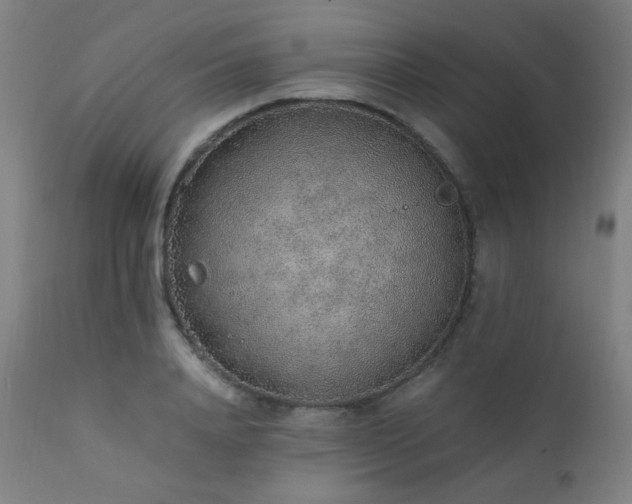 X0000111650840200907171543