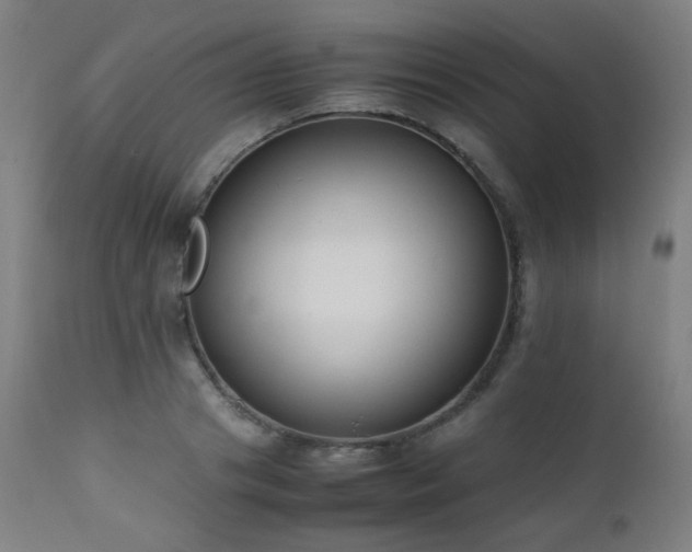 X0000111650841200907171543