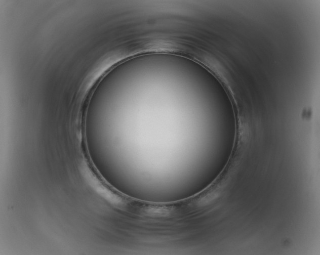 X0000111650843200907171543