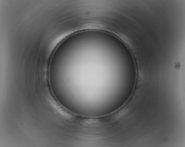 X0000111650846200907171543