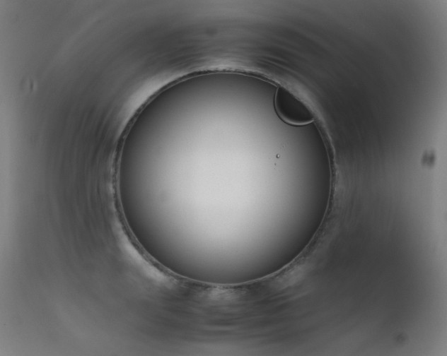 X0000111650847200907171543