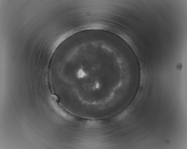 X0000111650850200907171543