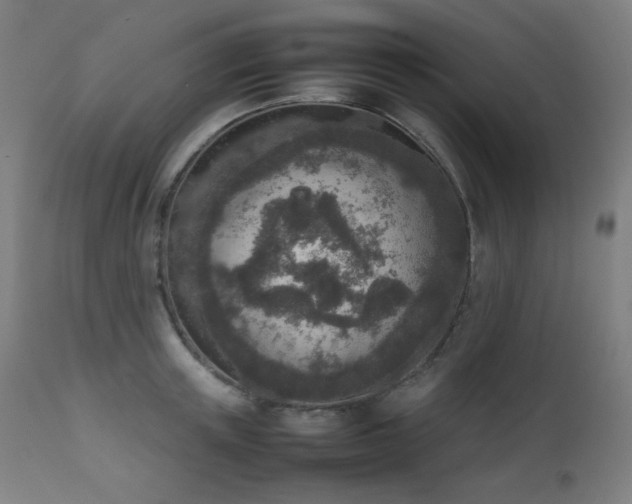X0000111650851200907171543