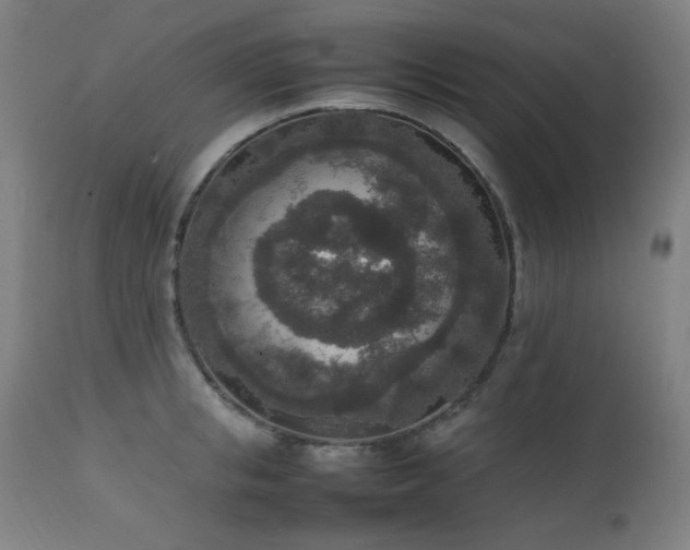 X0000111650853200907171543