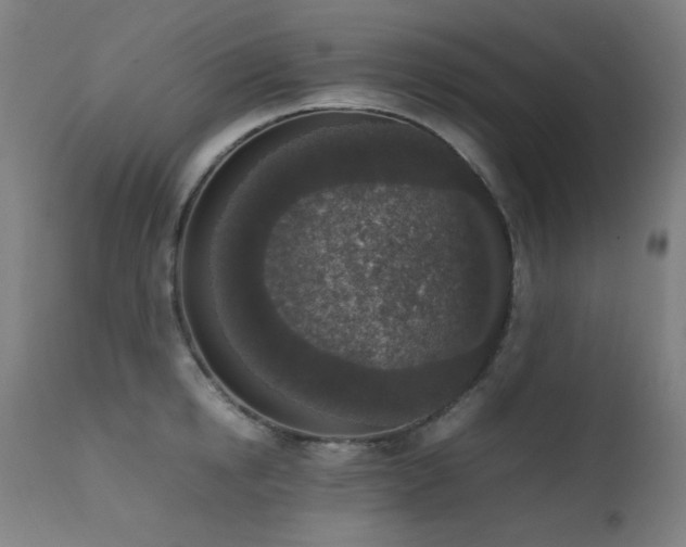 X0000111650854200907171543