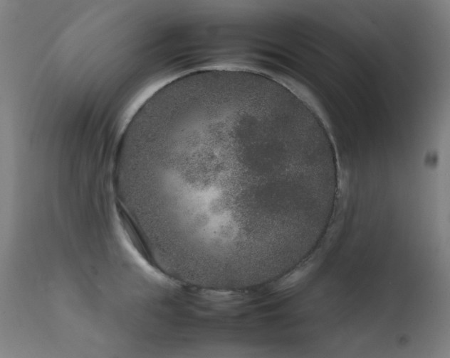 X0000111650855200907171543