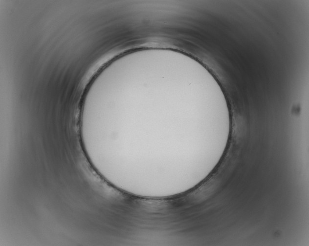 X0000111650856200907171543