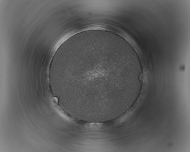 X0000111650858200907171543