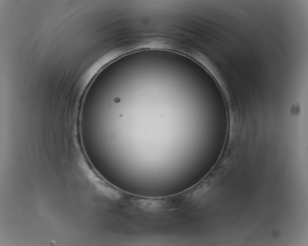X0000111650861200907171543