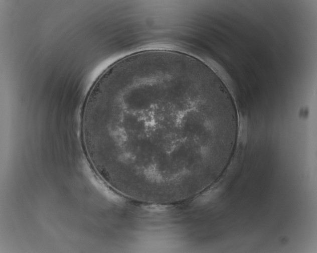 X0000111650862200907171543