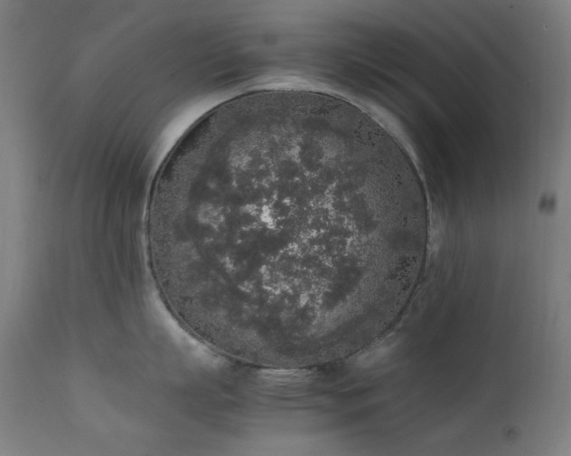 X0000111650863200907171543