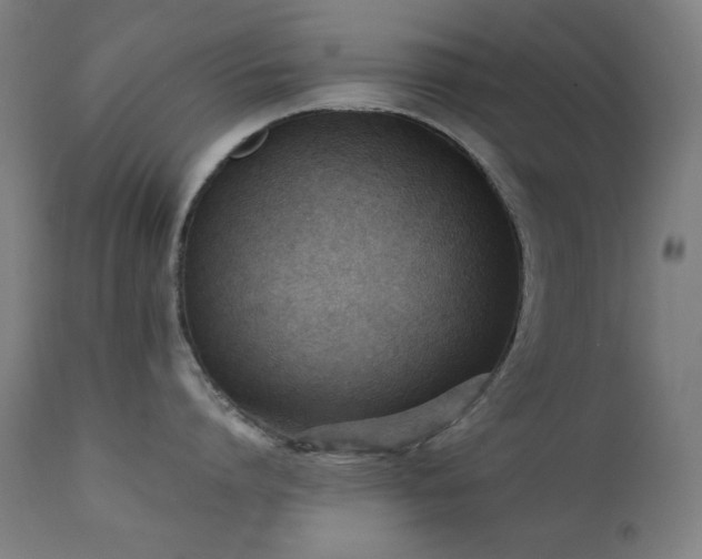 X0000111650864200907171543