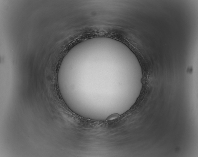 X0000111650865200907171543