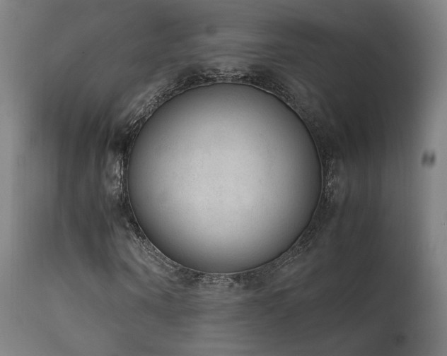 X0000111650866200907171543