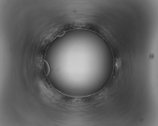 X0000111650867200907171543
