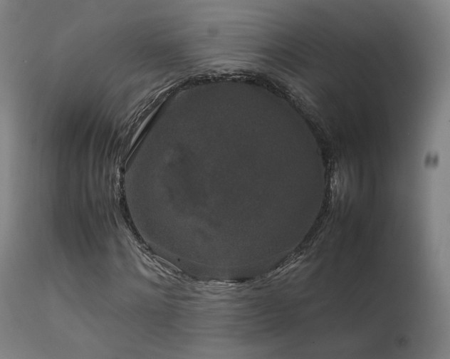X0000111650868200907171543