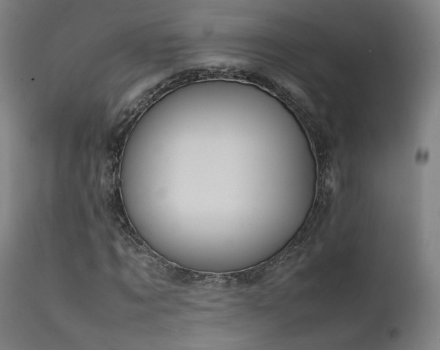 X0000111650869200907171543