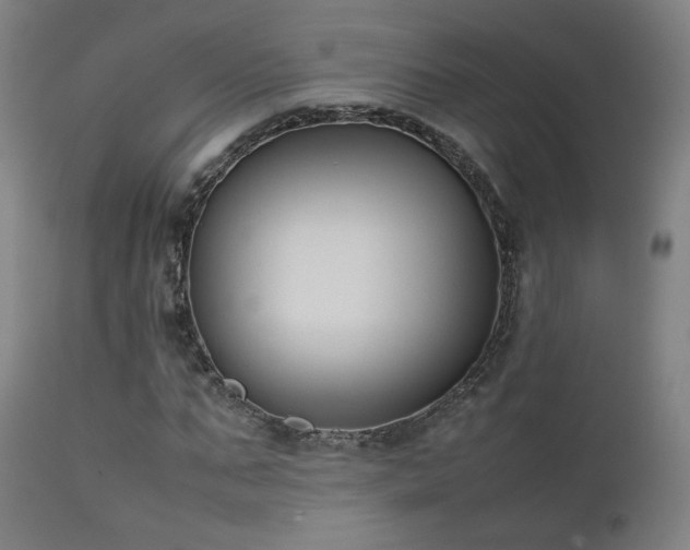 X0000111650871200907171543