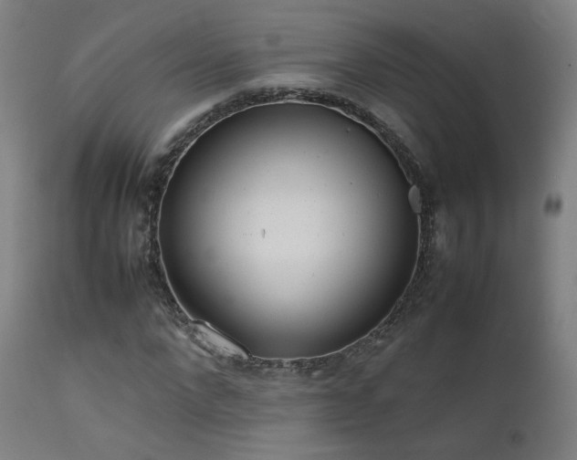 X0000111650872200907171542
