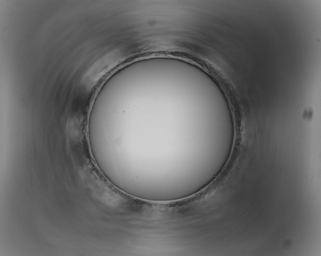 X0000111650873200907171542