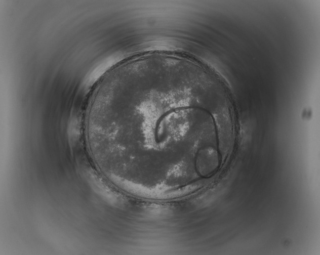 X0000111650874200907171542