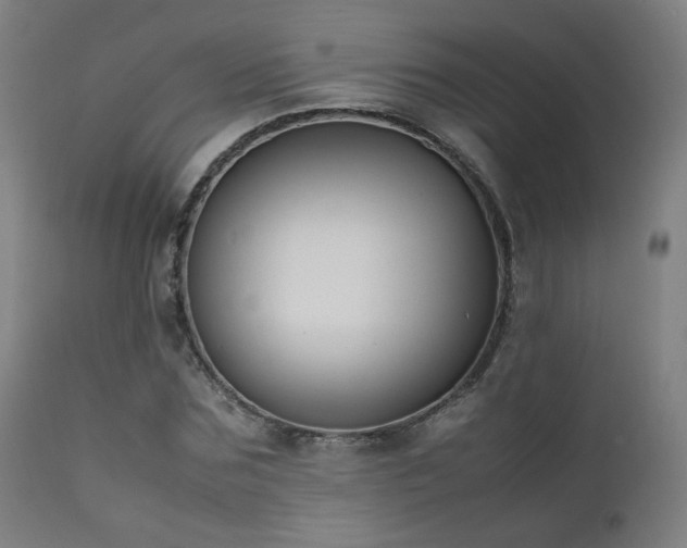 X0000111650875200907171542