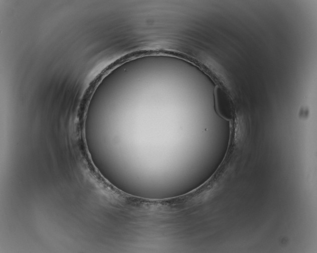 X0000111650876200907171542