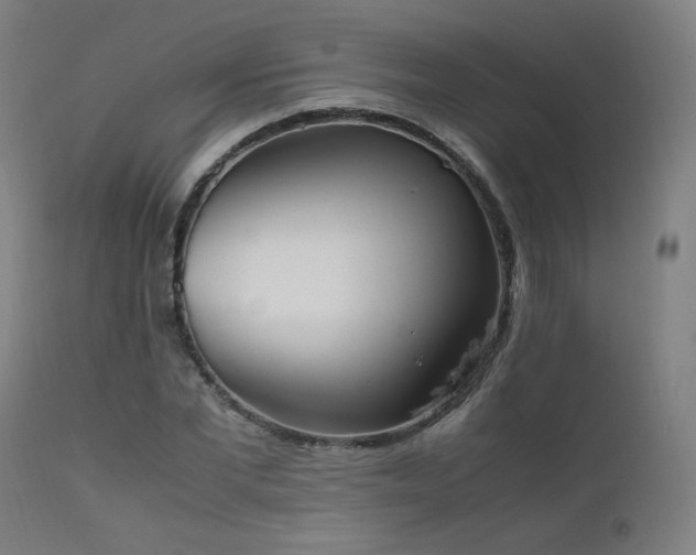 X0000111650877200907171542