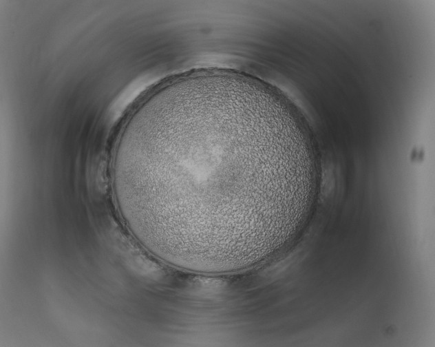 X0000111650878200907171542