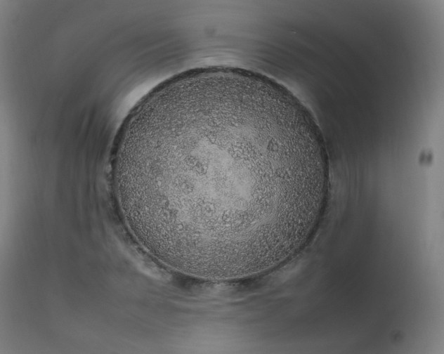 X0000111650879200907171542