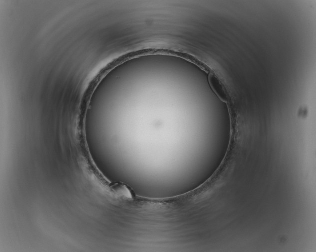 X0000111650880200907171542