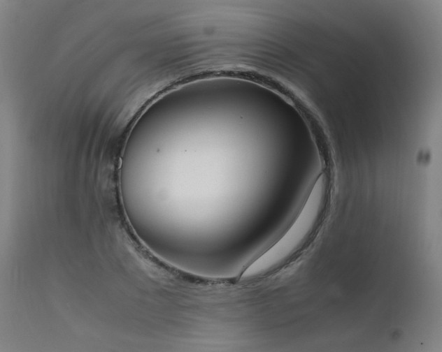 X0000111650881200907171542
