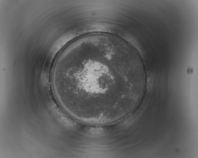 X0000111650882200907171542