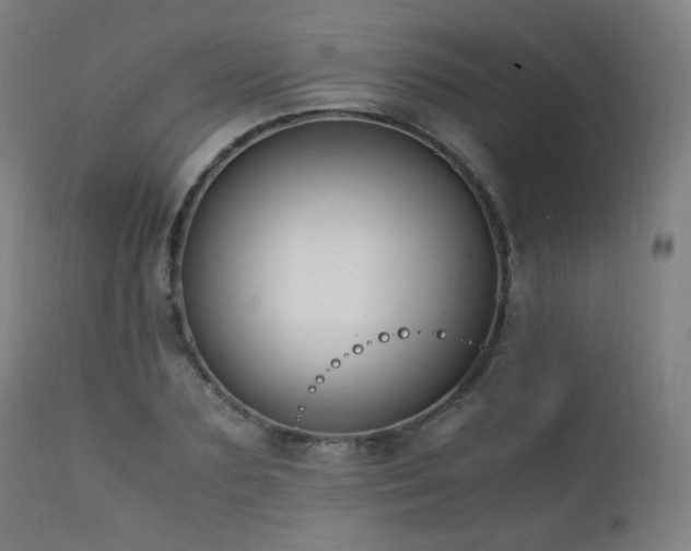 X0000111650883200907171542