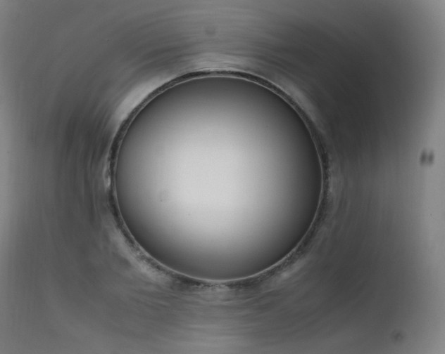 X0000111650885200907171542