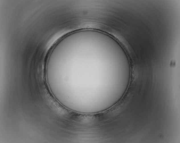 X0000111650886200907171542