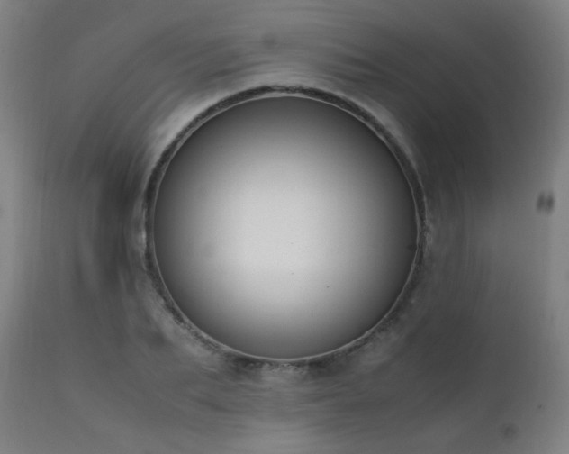 X0000111650887200907171542