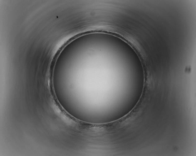 X0000111650888200907171542