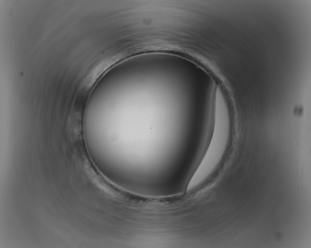 X0000111650889200907171542