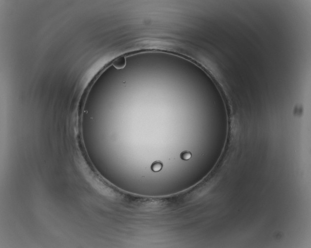 X0000111650891200907171542