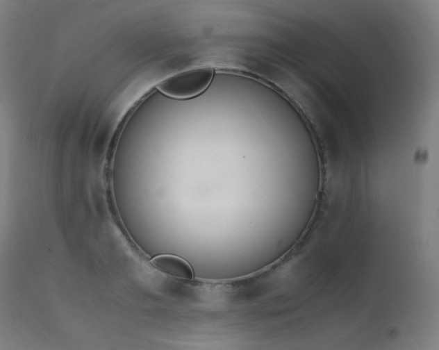 X0000111650893200907171542