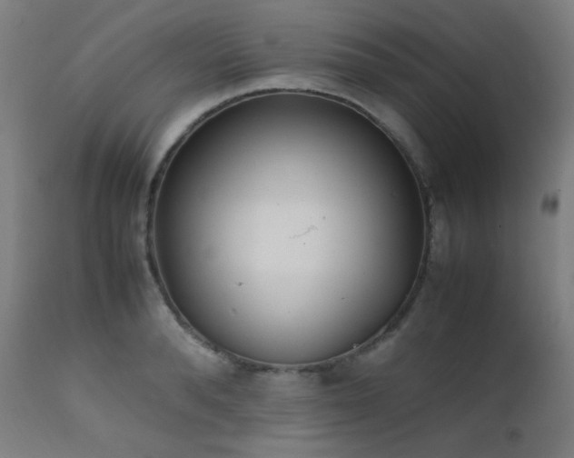 X0000111650896200907171542
