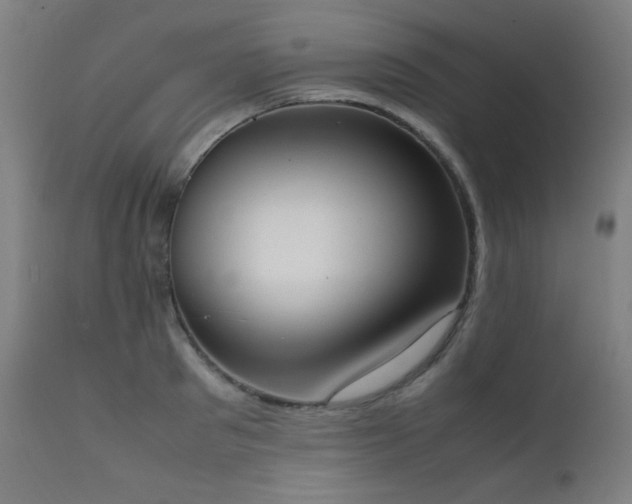 X0000111650897200907171542