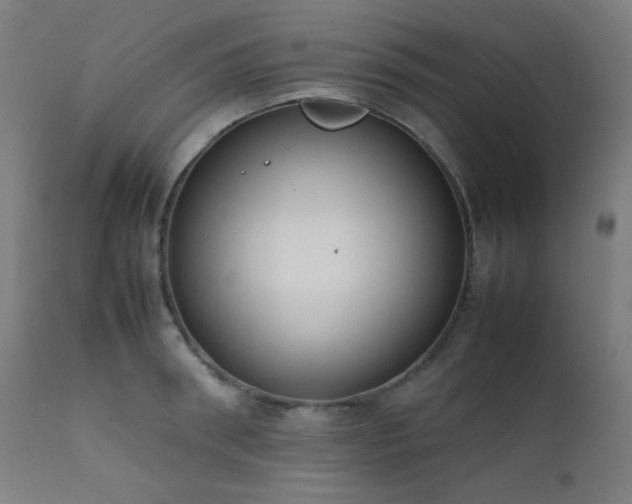 X0000111650898200907171542